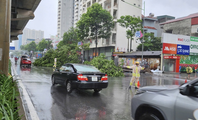 Bão Yagi: Cây xanh đổ la liệt khắp Hà Nội- Ảnh 14.