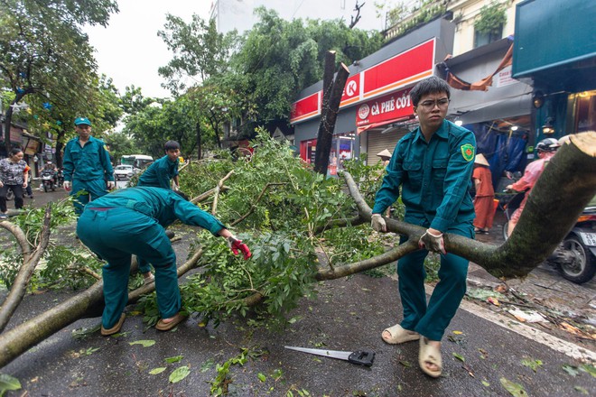 Hà Nội: Bão Yagi quật đổ gần 17.400 cây xanh, 3 người chết- Ảnh 3.