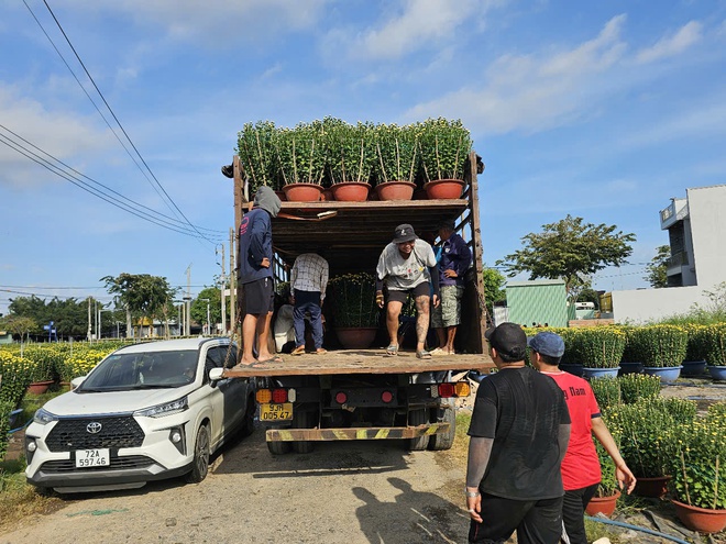 'Biệt đội' thanh niên cơ bắp vào mùa tết ở làng hoa Kim Dinh- Ảnh 3.