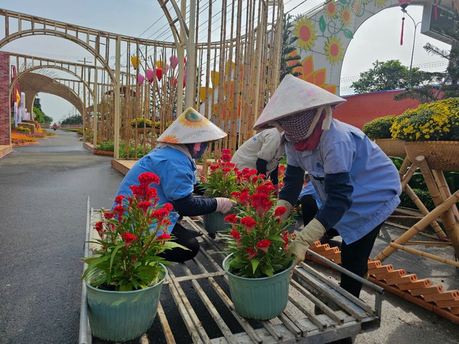 Chủ tịch Xuyên Mộc giải nghĩa linh vật hổ mang chúa đội nón lá- Ảnh 10.