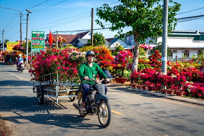 Khám phá làng hoa giấy lớn nhất miền Tây dịp tết về- Ảnh 9.