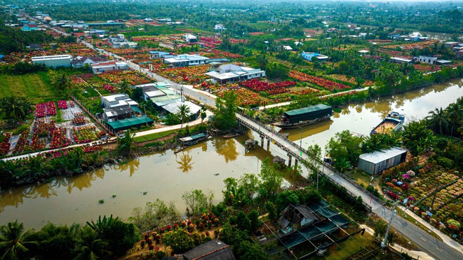 Khám phá làng hoa giấy lớn nhất miền Tây dịp tết về- Ảnh 3.