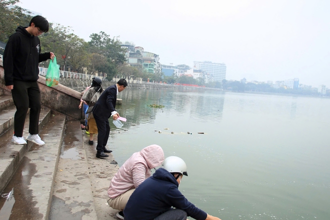 Cá chép vừa phóng sinh xuống hồ Tây đã... ngửa bụng ngày ông Công, ông Táo- Ảnh 12.