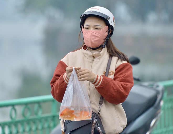 Cá chép vừa phóng sinh xuống hồ Tây đã... ngửa bụng ngày ông Công, ông Táo- Ảnh 6.