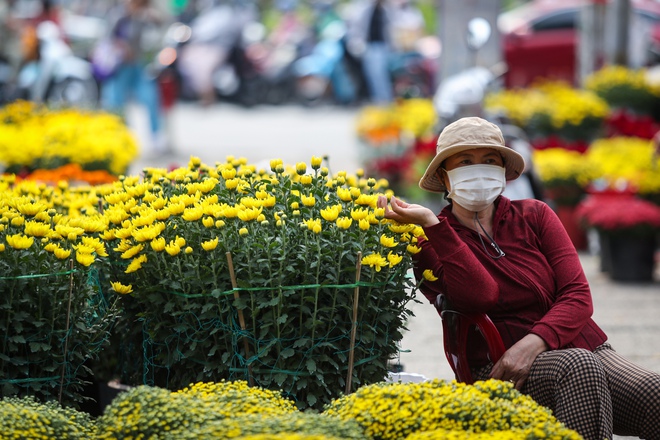Hoa tết tr&agrave;n ngập trung t&acirc;m TP.HCM: Tiểu thương thấp thỏm v&igrave;... ngồi kh&ocirc;ng- Ảnh 8.