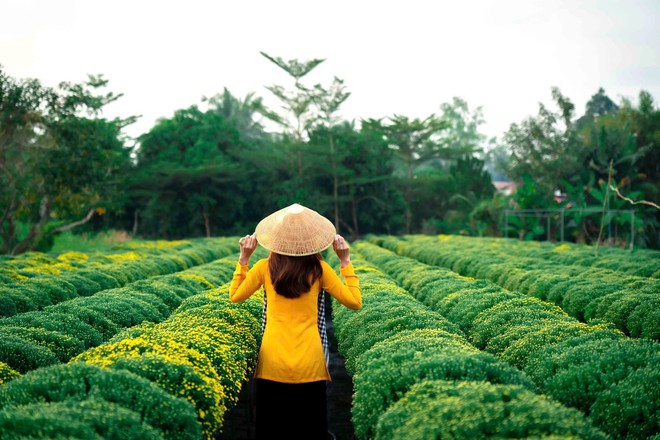 Bên trong làng hoa tết độc đáo nhất miền Tây- Ảnh 17.