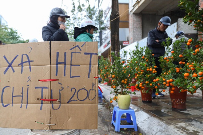 Tiểu thương Hà Nội cắn răng chặt đào, hạ giá để 'về quê ăn tết'- Ảnh 11.