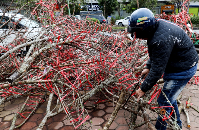 Tiểu thương Hà Nội cắn răng chặt đào, hạ giá để 'về quê ăn tết'- Ảnh 3.