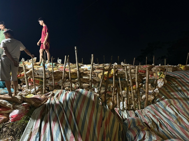 Công an Hà Nội trắng đêm giữ đê, giúp dân cứu lúa- Ảnh 4.