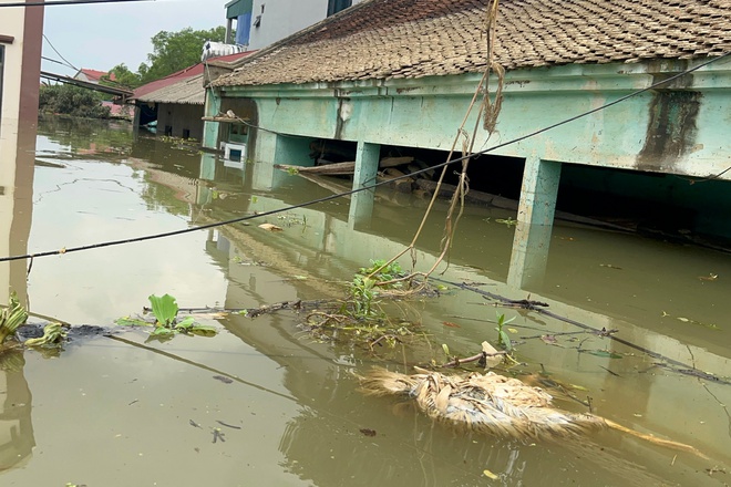 Nước sông Cầu đã rút, 'rốn lũ' Hà Nội vẫn ngập sâu- Ảnh 4.