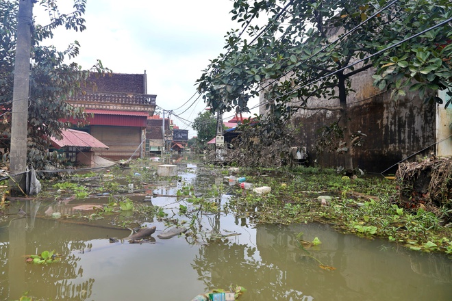 Nước sông Cầu đã rút, 'rốn lũ' Hà Nội vẫn ngập sâu- Ảnh 3.