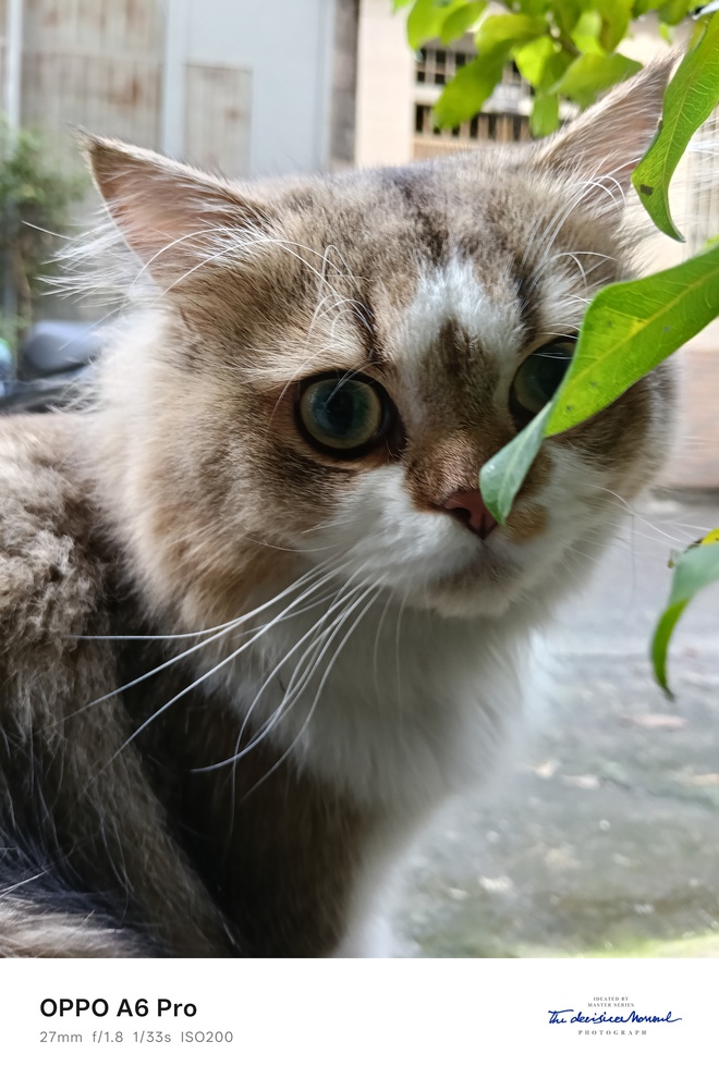 Trải nghiệm OPPO A6 Pro: bền bỉ, mượt m&agrave; v&agrave; tr&agrave;n đầy năng lượng - Ảnh 10.