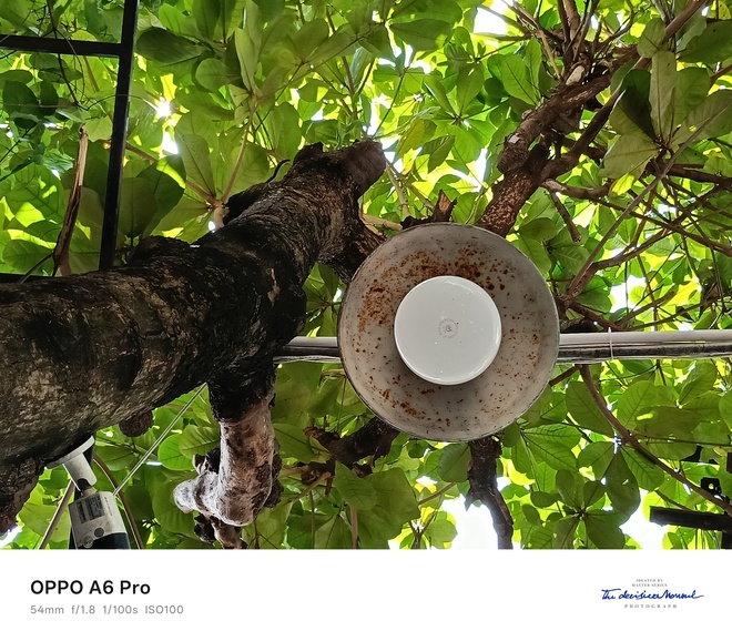 Trải nghiệm OPPO A6 Pro: bền bỉ, mượt m&agrave; v&agrave; tr&agrave;n đầy năng lượng - Ảnh 11.