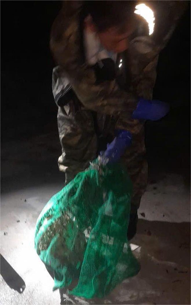 Đã xử lý tổ ong vò vẽ 'khủng' gần trường học ở xã Bình Lợi - Ảnh 1.