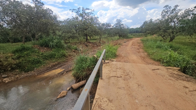 Đồng Nai: Chủ đất khai thác đá... để trồng điều?- Ảnh 9.