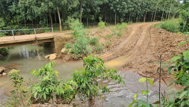 Đồng Nai: Chủ đất khai thác đá... để trồng điều?- Ảnh 8.