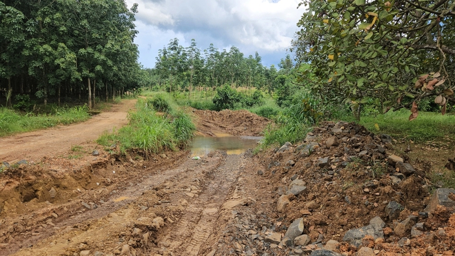 Đồng Nai: Chủ đất khai thác đá... để trồng điều?- Ảnh 7.