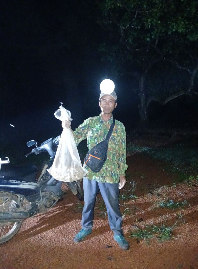 Thú săn ‘lộc trời’ nấm mối: May rủi, hiểm nguy và cuộc cạnh tranh thầm lặng- Ảnh 3. Thú săn ‘lộc trời’ nấm mối: May rủi, hiểm nguy và cuộc cạnh tranh thầm lặng- Ảnh 3.