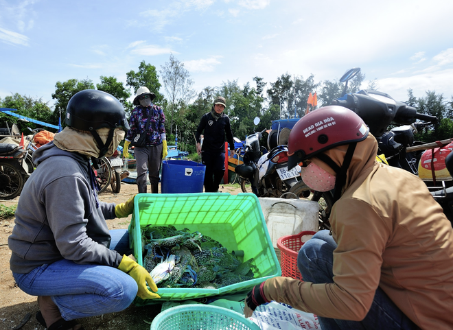 L&agrave;ng ch&agrave;i th&ocirc;n Hồ L&acirc;n - Ảnh 5.