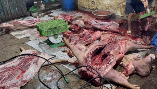 Mua lợn bệnh, lợn chết về mổ bán cho công ty làm thức ăn cho công nhân - Ảnh 3.