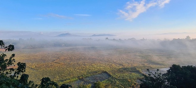 Nảy mầm xanh trên đỉnh núi đá Chư Nâm - Ảnh 3.
