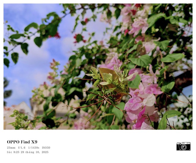Trải nghiệm OPPO Find X9: bước tiến của nhiếp ảnh v&agrave; hiệu năng di động - Ảnh 9.