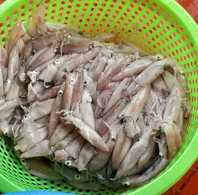 Có gì trong suất ăn bán trú giá 14.000 đồng và17.000 đồng ở trường làng Quảng Trị?- Ảnh 4. Có gì trong suất ăn bán trú giá 14.000 đồng và17.000 đồng ở trường làng Quảng Trị?- Ảnh 4.