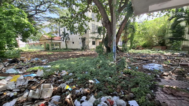 Kiến nghị lập bệnh viện chuyên khoa ung bướu, sản tại Bà Rịa, Vũng Tàu? - Ảnh 5.