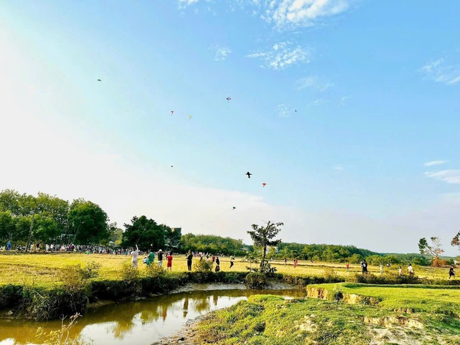 Cánh đồng lúa đẹp như tranh vẽ tại Đồng Nai- Ảnh 13.