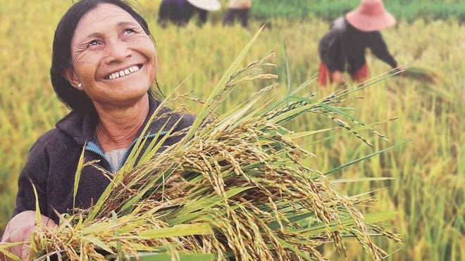 Cánh đồng lúa đẹp như tranh vẽ tại Đồng Nai- Ảnh 12.