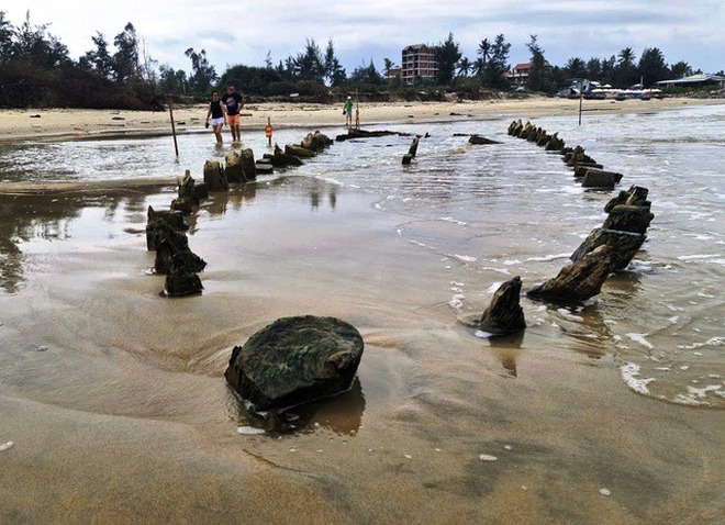 - Ảnh 2. - Ảnh 2.