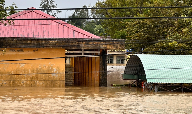 - Ảnh 3. - Ảnh 3.