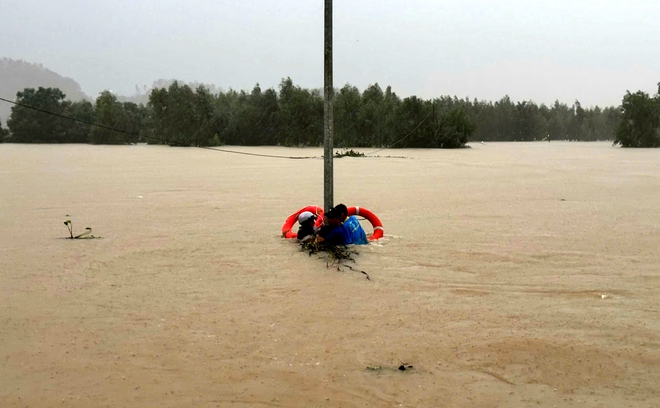 - Ảnh 6. - Ảnh 6.