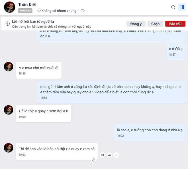 Nhức nhối trộm chó, mèo ở TP.HCM - Kỳ 2: Dùng AI tạo chó giả để lừa tiền chuộc- Ảnh 9. Nhức nhối trộm chó, mèo ở TP.HCM - Kỳ 2: Dùng AI tạo chó giả để lừa tiền chuộc - Ảnh 9.