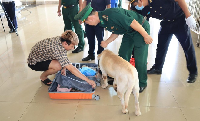 Tiếp nhận hơn 60 c&ocirc;ng d&acirc;n Việt Nam chạy tho&aacute;t khỏi cơ sở lừa đảo trực tuyến - Ảnh 6.