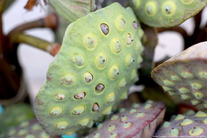 Ăn - xem - trải nghiệm di sản ẩm thực giữa lòng thủ đô- Ảnh 4. Ăn - xem - trải nghiệm di sản ẩm thực giữa lòng thủ đô- Ảnh 4.