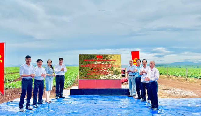 Những c&ocirc;ng tr&igrave;nh trọng điểm của VRG ch&agrave;o mừng Đại hội XIV của Đảng- Ảnh 5.