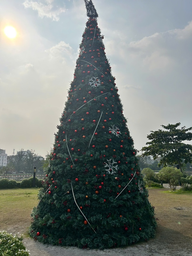 'C&ocirc;ng vi&ecirc;n Noel' với 200 c&acirc;y th&ocirc;ng, c&oacute; c&acirc;y cao hơn 7 m, h&uacute;t kh&aacute;ch  - Ảnh 5.