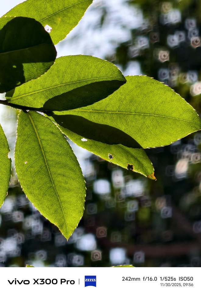 Trải nghiệm vivo X300 Pro: nhiếp ảnh chuy&ecirc;n nghiệp cho người đam m&ecirc; s&aacute;ng tạo - Ảnh 38.