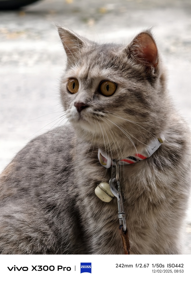 Trải nghiệm vivo X300 Pro: nhiếp ảnh chuy&ecirc;n nghiệp cho người đam m&ecirc; s&aacute;ng tạo - Ảnh 37.