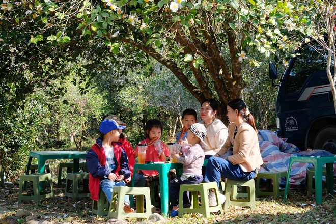 B&igrave;nh Li&ecirc;u m&ugrave;a hoa sở gọi bước du kh&aacute;ch- Ảnh 11.