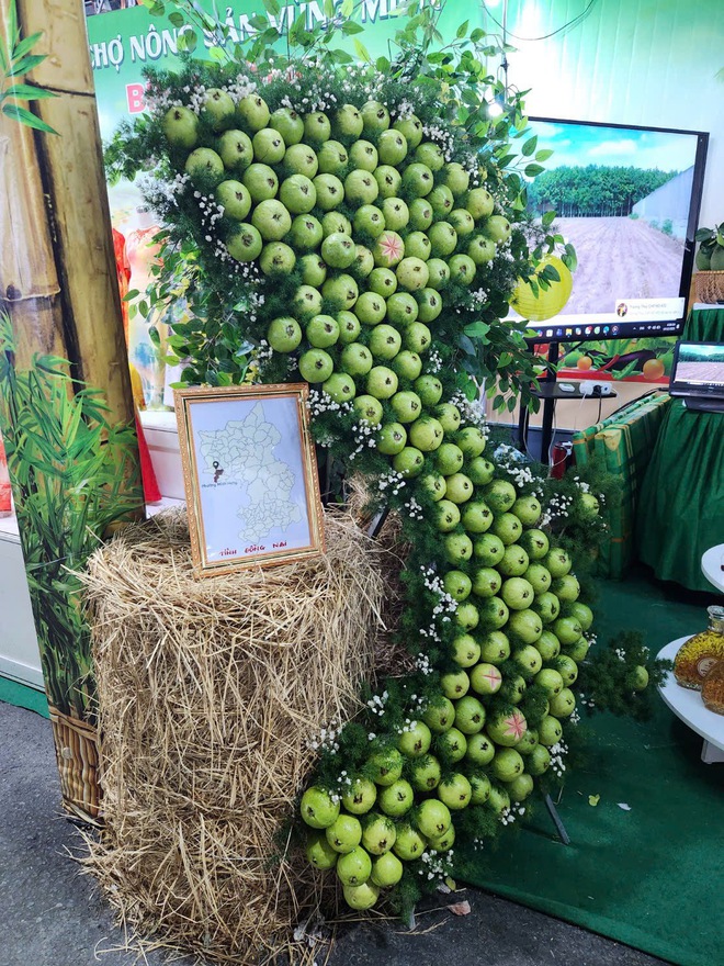 Chuối b&agrave;n tay, na sầu ri&ecirc;ng... g&acirc;y t&ograve; m&ograve; tại phi&ecirc;n chợ n&ocirc;ng sản v&ugrave;ng miền B&igrave;nh Đ&ocirc;ng - Ảnh 6.