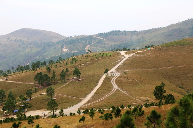 Thảo nguy&ecirc;n như ch&acirc;u &Acirc;u thu nhỏ ở Quảng Ninh - Ảnh 6.
