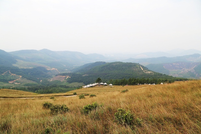 Thảo nguy&ecirc;n như ch&acirc;u &Acirc;u thu nhỏ ở Quảng Ninh - Ảnh 11.