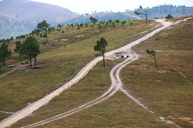 Thảo nguy&ecirc;n như ch&acirc;u &Acirc;u thu nhỏ ở Quảng Ninh - Ảnh 12.
