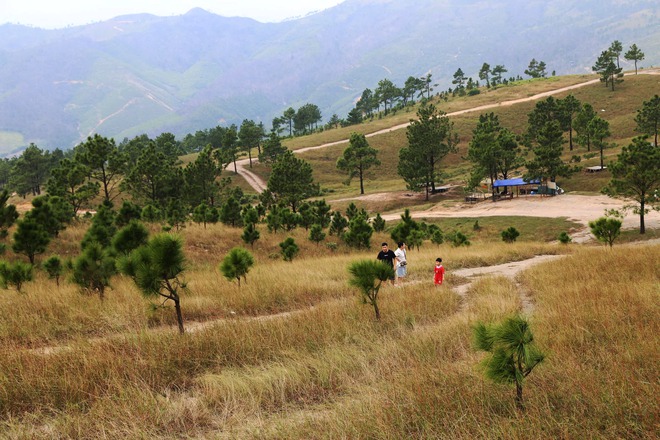 Thảo nguy&ecirc;n như ch&acirc;u &Acirc;u thu nhỏ ở Quảng Ninh - Ảnh 13.