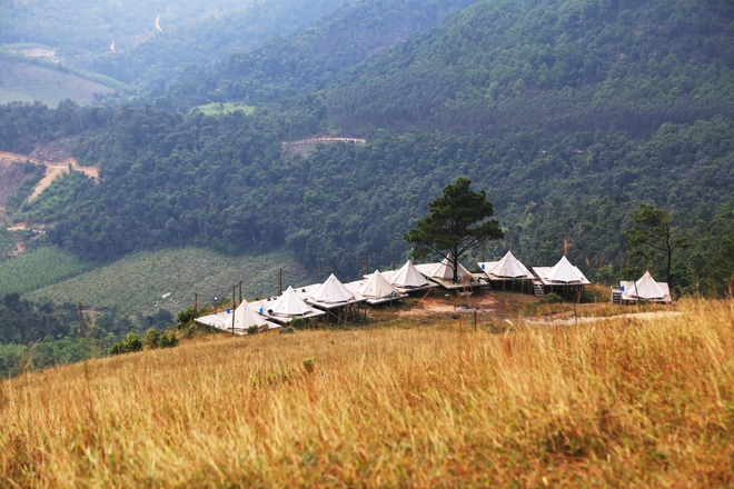 Thảo nguy&ecirc;n như ch&acirc;u &Acirc;u thu nhỏ ở Quảng Ninh - Ảnh 10.