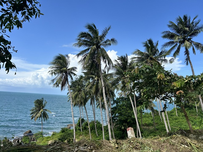 4 địa điểm check-in tuyệt vời cho giới trẻ trong kỳ nghỉ tết 4 ng&agrave;y - Ảnh 2.