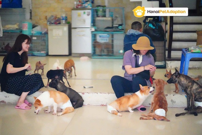 Chim Cú lợn Cú Đá hồi sinh kỳ diệu Sau khi bị Đá ra bãi rác - Ảnh 4. Chim Cú lợn Cú Đá hồi sinh kỳ diệu Sau khi bị Đá ra bãi rác - Ảnh 4.