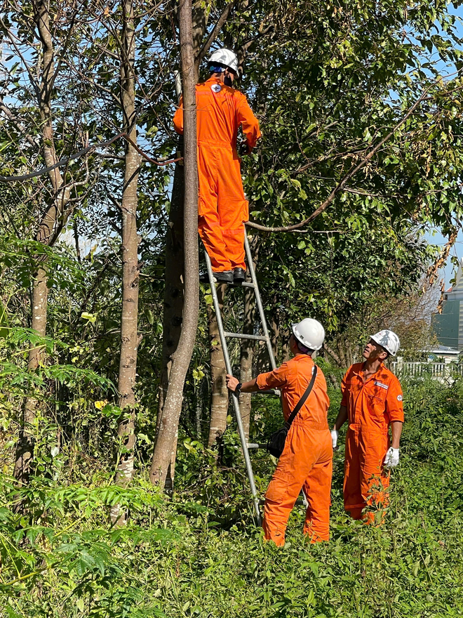 EVNGENCO3 hỗ trợ hơn 7 tỉ đồng cho miền Trung, Tây nguyên sau bão lũ - Ảnh 1.